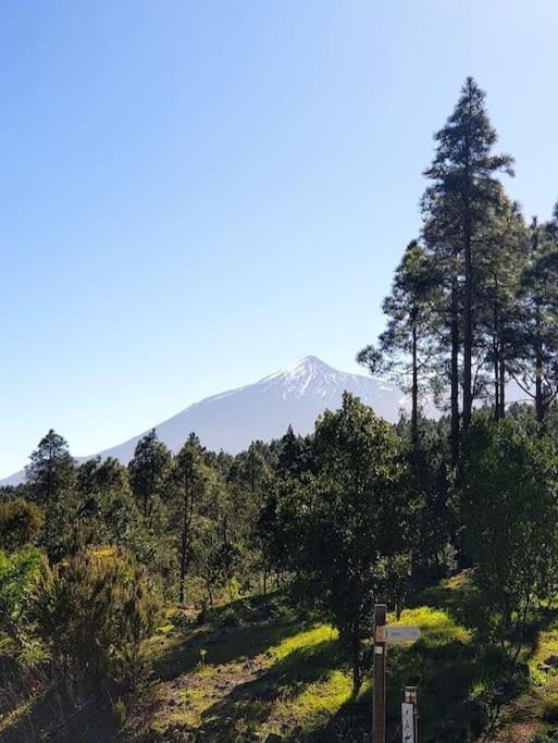 Hikers Haven Courtyard Apartment Tamaimo Tenerife El Molledo ภายนอก รูปภาพ