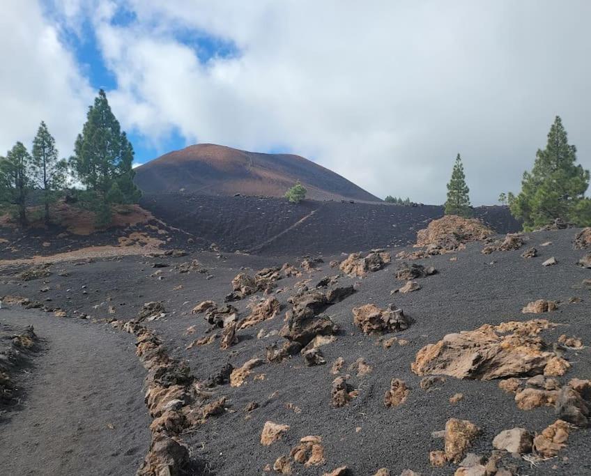 Hikers Haven Courtyard Apartment Tamaimo Tenerife El Molledo ภายนอก รูปภาพ