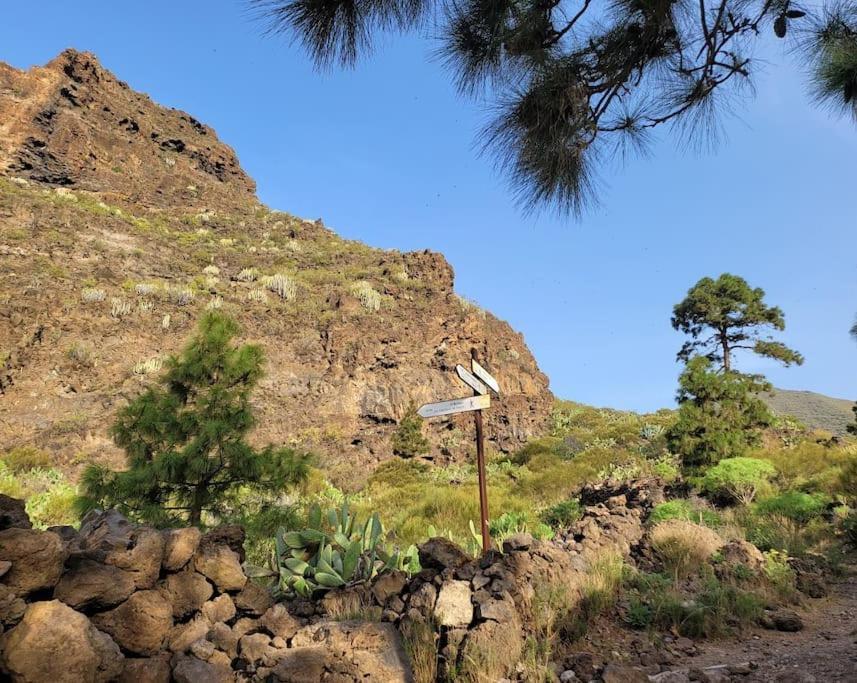 Hikers Haven Courtyard Apartment Tamaimo Tenerife El Molledo ภายนอก รูปภาพ